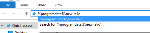 open-new relic.png