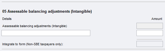 Item 9 Capital allowances worksheet (it) item 05.PNG