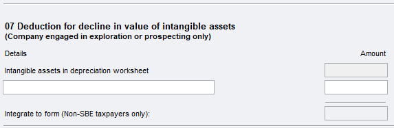 Item 9 Capital allowances worksheet (it) item 07.PNG