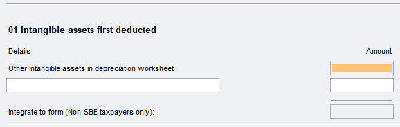 Item 9 Capital allowances worksheet (it).PNG
