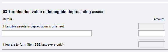 Item 9 Capital allowances worksheet (it) item 03.PNG