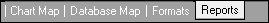 Reporter Tabs-reports.png