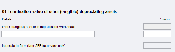 Item 9 Capital allowances worksheet (it) item 04.PNG