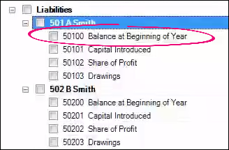Balance at Beginning of Year.png